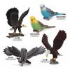 Simulation Of Forest Animals, Birds, Bird Models, Toys, Owls, Bald Eagles, Budgerigars, Desktop Static Ornaments