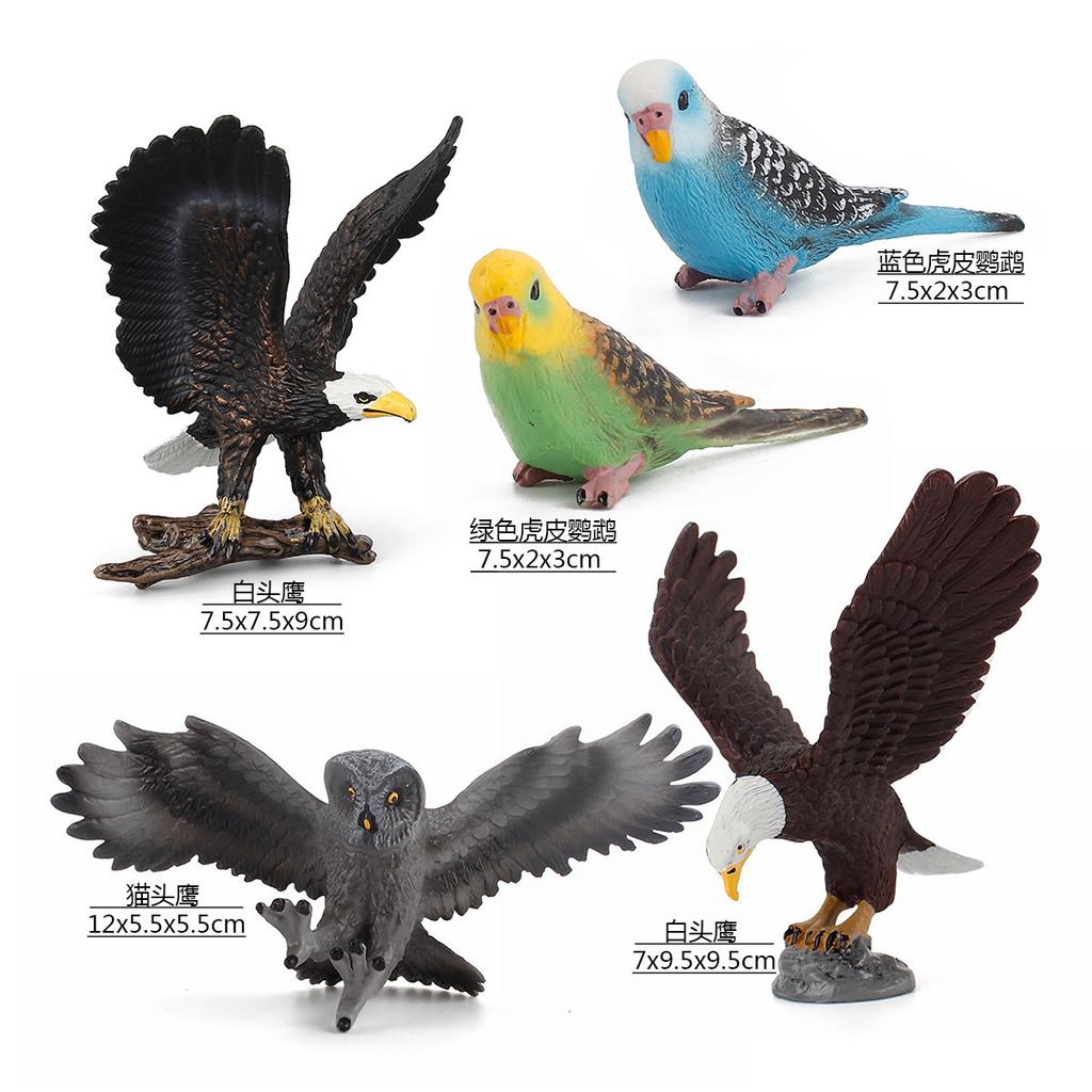 Simulation Of Forest Animals, Birds, Bird Models, Toys, Owls, Bald Eagles, Budgerigars, Desktop Static Ornaments