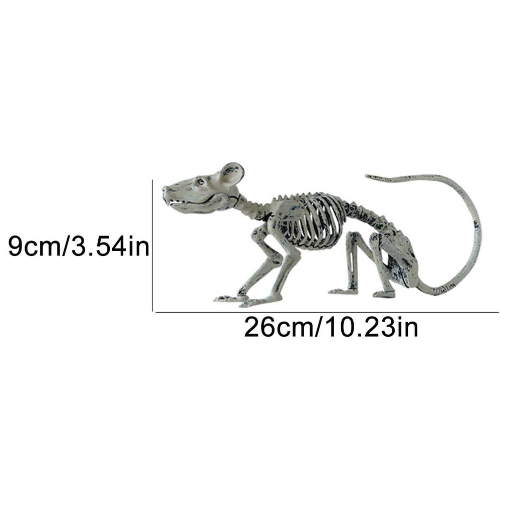 Animal Skeleton Bone Figurine Terrible Spider Bird Skull Statues Sculptures Hallowee Ornament Home Decoration Desk Accessories