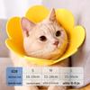 Кошачий подсолнух елизаветинский воротник
