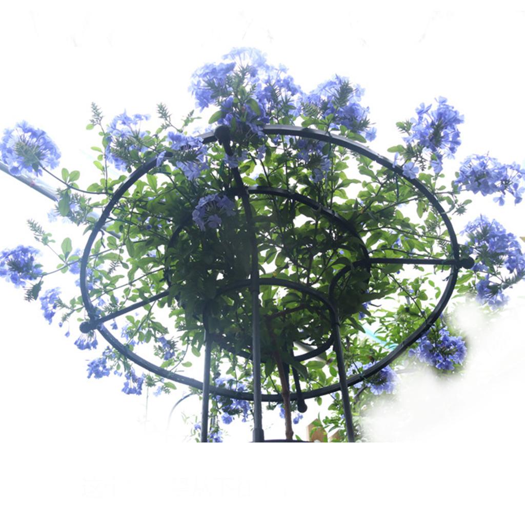 Садовая шпалера для вьющихся растений, шпалера с грибком для горшечных растений, лиан, роз, клематисов, овощей