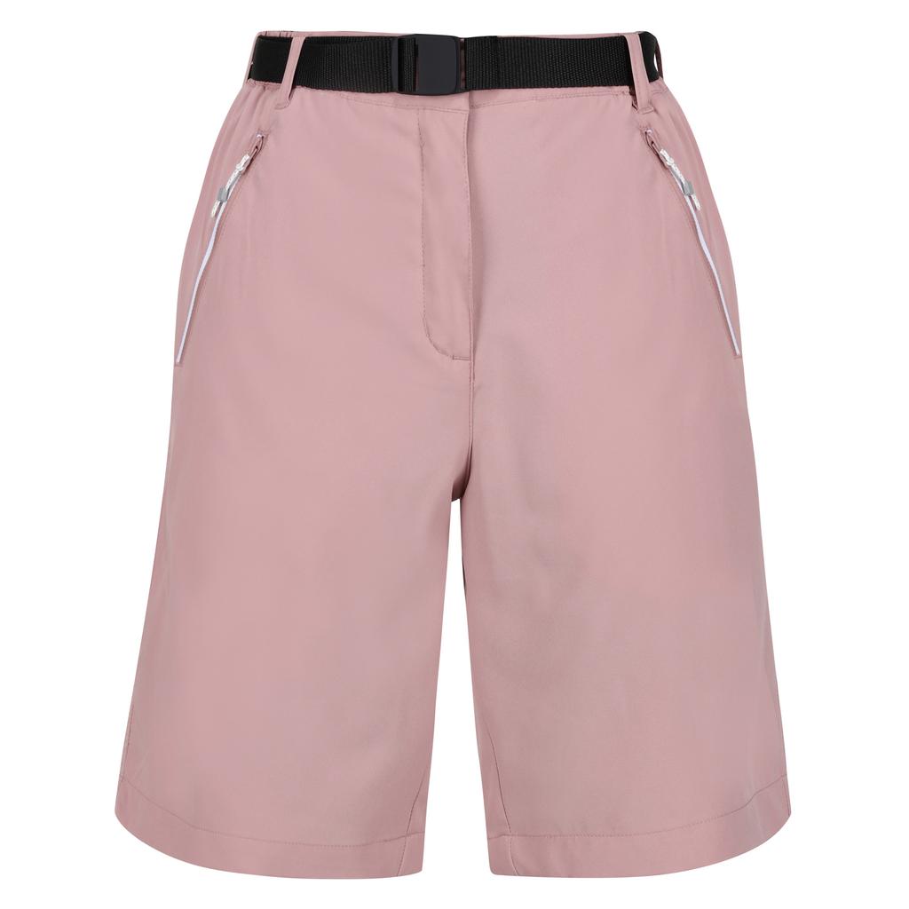 Regatta Womens/Ladies Xert Stretch Shorts