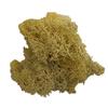 L&B Artificial Plant Preserved Flower Reindeer Moss DIY Craft Garden Home Decor