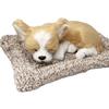 TATOTTE Stuffed Dog, Realistic Figurine, Cute Sleeping Dog, Activated Charcoal Included, Soothing Interior (Chihuahua CR)