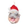 Cartoon Hippopotamus Hanging Pendant Moo Deng Car Haning Pendants  Christmas Day