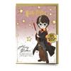 Harry Potter Character Greetings Card with glasses Pinbadge (Pack of 6)