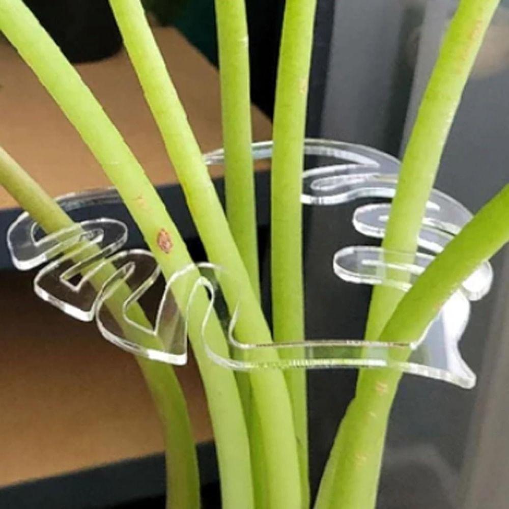 Clear Plant Stem Support Holder Plastic Plant Stem Support for Flower Lovers