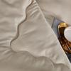 Tangna Home Textiles Warm Velvet Winter Comforter