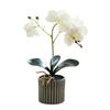 Artificial Potted Plant Faux Moth Orchid Bonsai Desktop Artificial Potted Phalaenopsis Flowers for Home Dining Table Office Desk Decoration