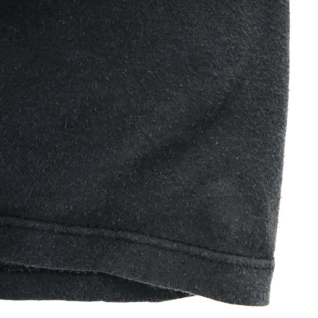 SUN SPORTSWEAR 90s Made In USA Old STRIP TEES Short Sleeve T-shirt Animal Men's Used