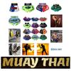Muay Thai Shorts Pants Kickboxing Boxing MMA UFC Martial Arts Fight Unisex Men Women Kid Quick Dry Print Elastic High Waist Polyester Training