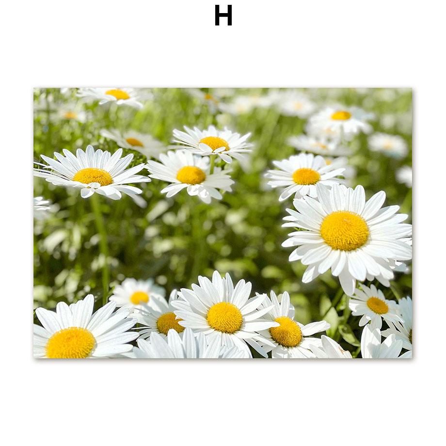Дейзи трава девушка цветок овца ферма цитаты настенная живопись на холсте плакаты на скандинавскую тему и принты настенные панно для декора гостиной