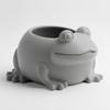 Decorative Gray Flowerpot for Plants In the Shape of a Frog, Modern Design
