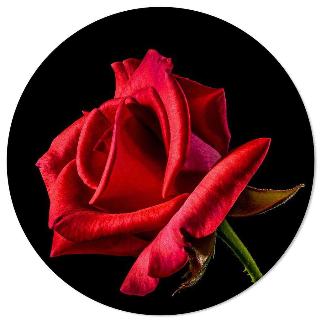 Круглый ковер с красной розой и цветами, красивый принт в виде лебедя, нескользящий круглый ковер, коврики для пола, спальня, гостиная, украшение для дома