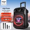 Портативная Bluetooth-караоке-колонка-тележка Aigo S56 12 дюймов