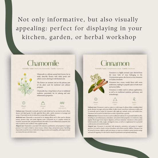 Справочник по травам 82 лекарственных растения Медицинское руководство по траволечению Растительные средства и рецепты Диспансер