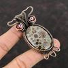 Asteroid Jasper Pendant Red Color Evil Eye Pendant Copper Wire Wrapped Pendants Unique Owl Jewelry Handmade Pendant Gemstone Copper Jewelry