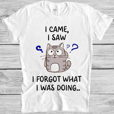 Я пришел Я увидел Я забыл что делал Кот Рыба Думающий Подарок Футболка T Shirt M1135