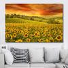 Sunflower Canvas Painting Wall Art Landscape Pictures Flower Landscape Posters and Prints for Living Room Home Decor No Frame