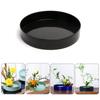 Zen Retro Chinese Japanese Style Flower Arranging Container Kenzan Flower Arrangement Tray Plastic Bowl Vase Tea Table Desktop