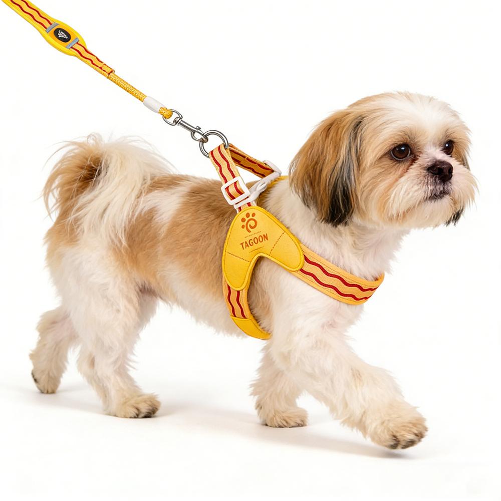 Light Puppy Dog Saddle Harness and Leash Set for Small Medium Dogs Padded Pet Harnesses Shiba Inu Corgi Pug mascotas Accessories