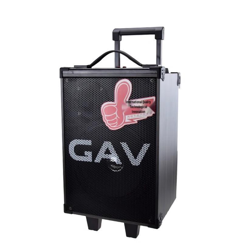 GAV K118 8-inch Portable Outdoor Speaker with Wireless Microphone
