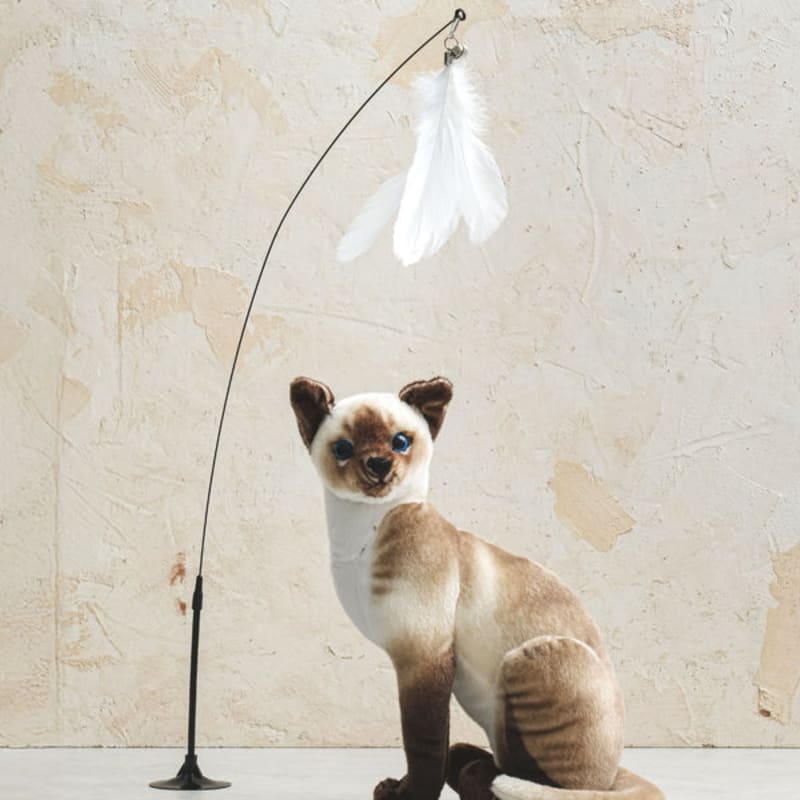 [Домашнее животное] Игрушка-перо на присоске