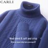 Мужской текстурированный свитер CARLI Premium из мериносовой шерсти с высоким воротником
