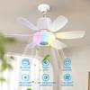 Ceiling Fans with Lights Remote Ceiling Fan RGB Dimmable Light Noiseless Black Modern Small Ceiling Fan for Bedroom Indoor 32W