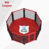Yezheng Octagon MMA Boxing Ring