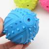 Пищащая регбийная игрушка для собак из ТПР, чистящая зубы, молярная жевательная игрушка для домашних собак