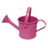 Kettle Ornament Drop-resistant Opening Design Creative Decorative Galvanized Iron Flower Planting Pot Watering Can Home Garden KTY