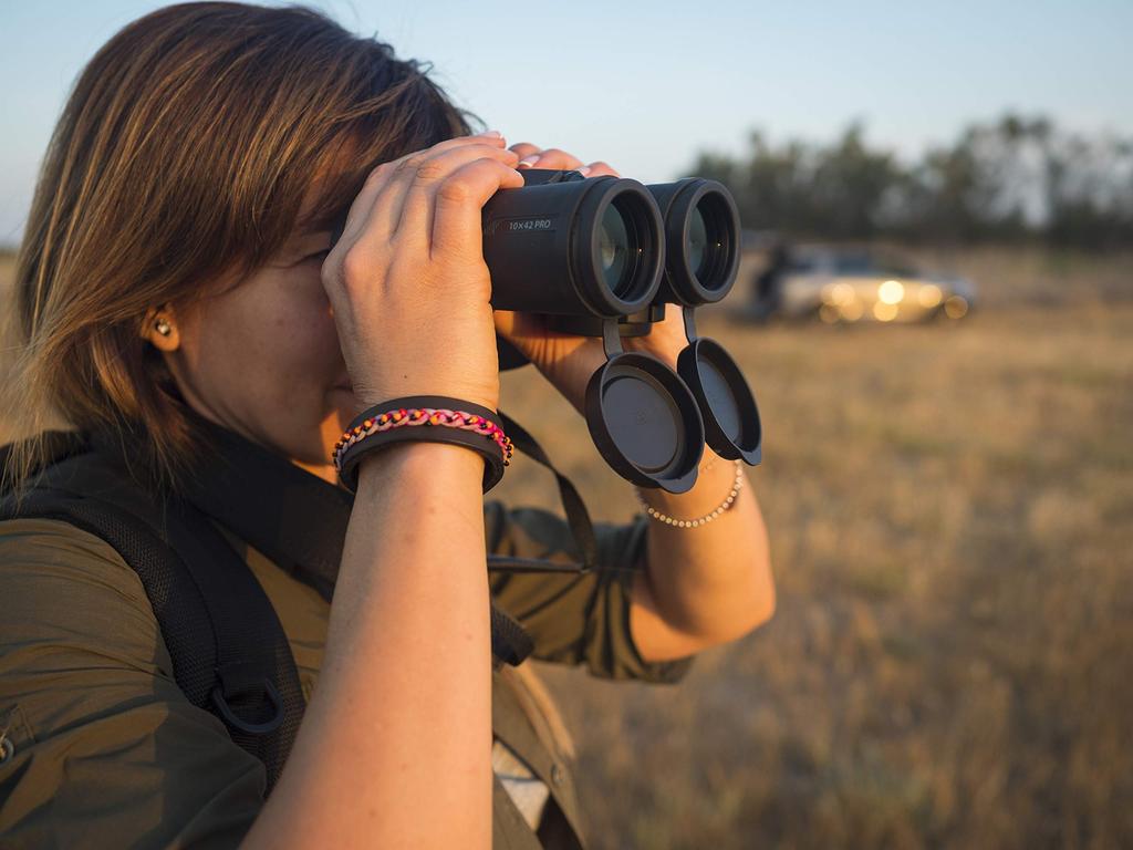OLYMPUS Binoculars 10X42 PRO Waterproof Roof Prism Type 10x 42 Caliber Anti-Fog