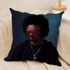 La Ffeves Singer Cool Cushion Cover Silky Short Plush Invisible Zipper Dustproof Sofa Pillow Case For Home Decor