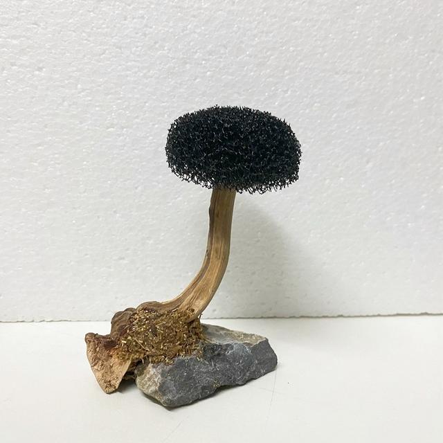 Аквариум, растение, мох, дерево, украшения, ландшафтный дизайн, дерево, корень коряги, водные растения, трава, аксессуары для аквариума (Нет мха)