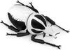 ZHONGXIN MADE Lifelike Goliathus Regius Plush Toy Goliathus Regius Beetle Stuffed Soft Crustacean Unique Beetle Toy Model Great Gift for Kids - 10"