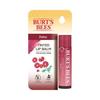 Burt's Bees Tinted Lip Balm 6 Colors, Korean Cosmetics
