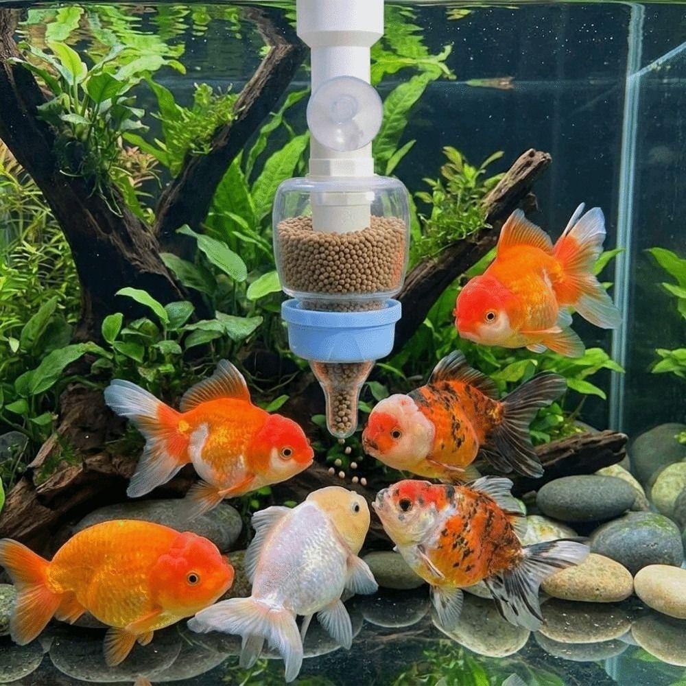 Anti-cloud Water Fish Pacifier Feeder Nipple Style Fish Feeder Convenient Aquarium Feeder Aquarium