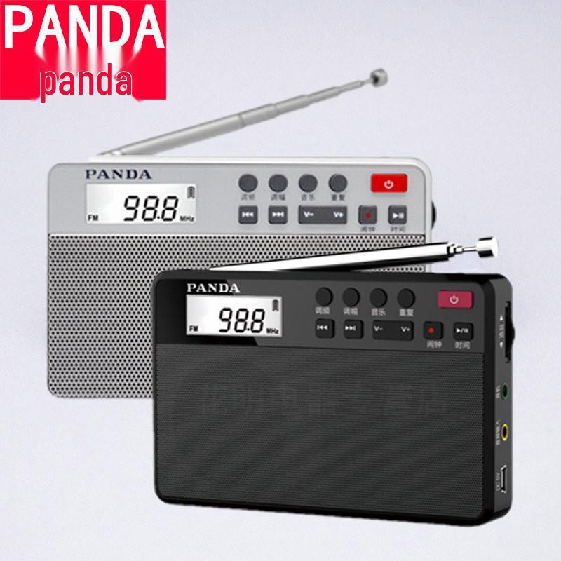 PANDA 6207 Dual-Band Portable Rechargeable Radio/MP3 Speaker for Seniors