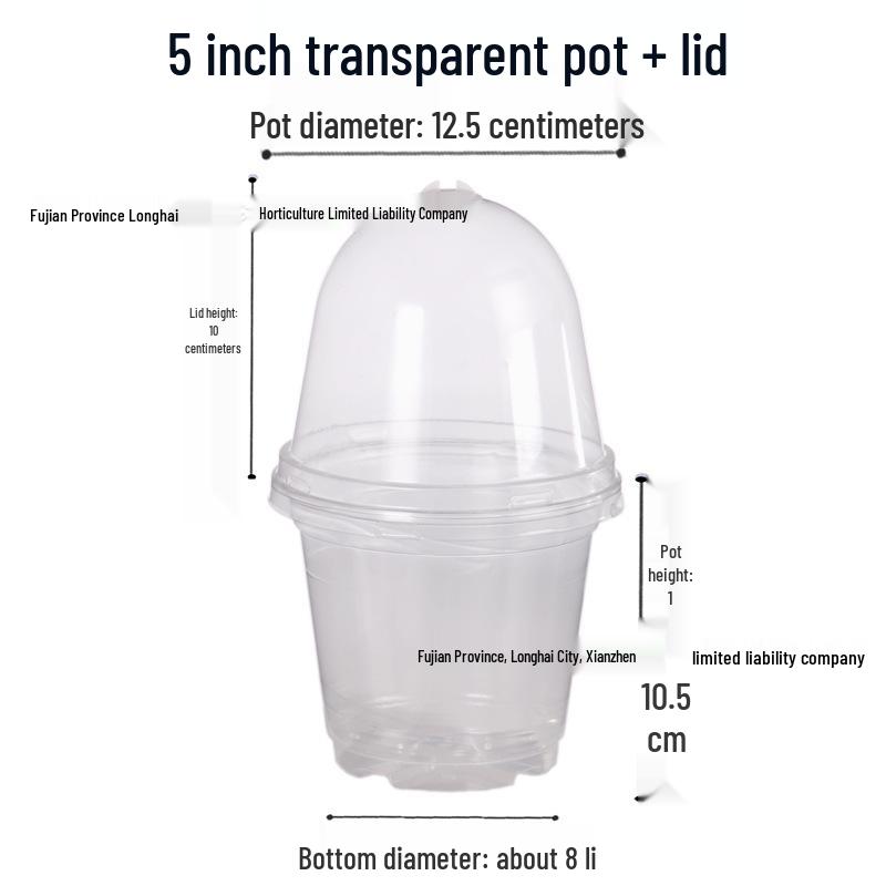 5" Insulated Phalaenopsis Pot with Lid, Moisture-Permeable, Two-Tone Design