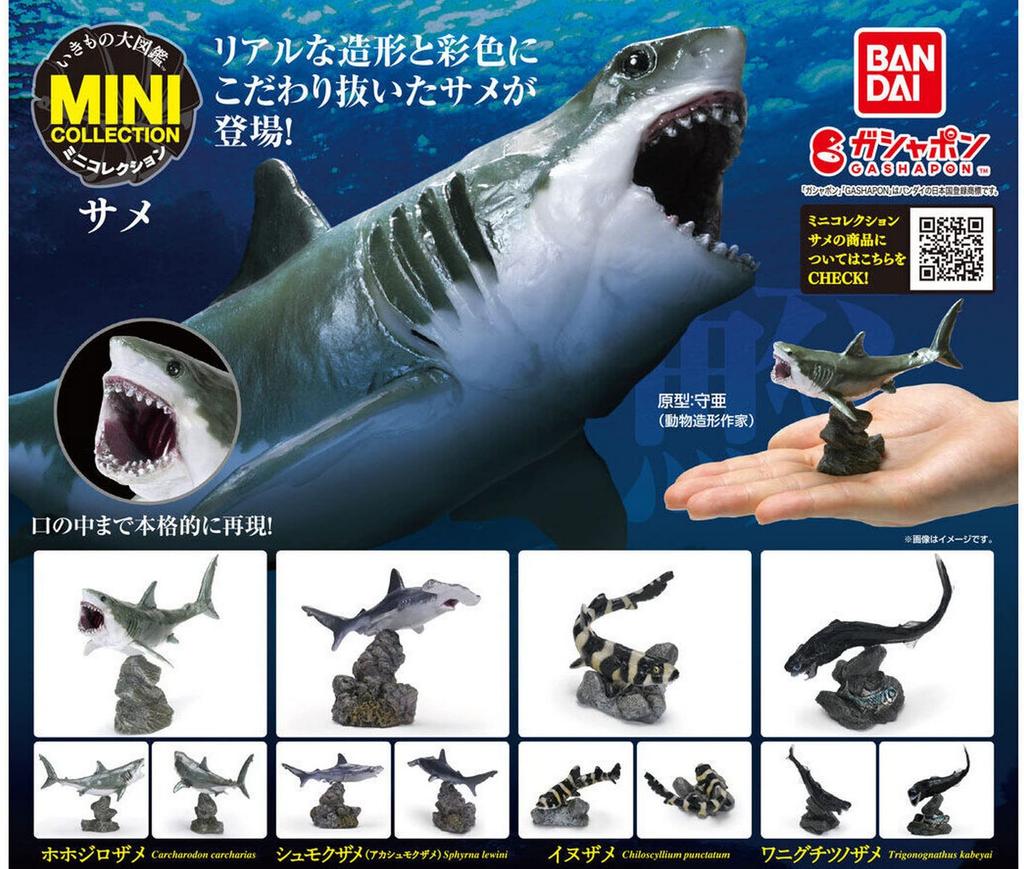 Мини-коллекция существ «Энциклопедия» Акула x Все 4 типа, полный комплект, капсульная игрушка Gacha Gacha