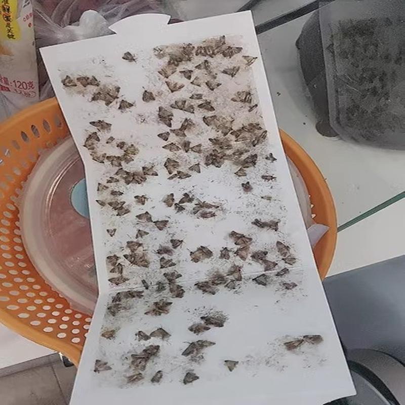 Главная Кухня и одежда Кладовая ловушки для моли с феромонами Prime Clothes Closet Moth Traps Magic Moth Catcher