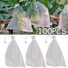 Breeding Bag Mosquitoes Anti-Bird Grape Protection Bags Mesh Bag Garden Supplies Protect Pouch