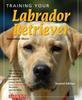 Книга Training Your Labrador Retriever By September Morn - Paperback