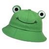 New Frog Shaped Parent Child Fisherman Hat with Embroidery for Men and Women, Sunshade, Warmth, Ear Protection Basin Hat