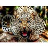 Алмазная мазайка, живопись леопард
