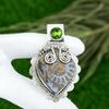 Pear Ammonite Fossil Stone Peridot 925 Sterling Silver Bezel New Pendant Jewelry