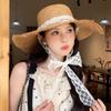 Bow Straw Hat Lace Bucket Hat Fashion Sunshade Hat Ladies