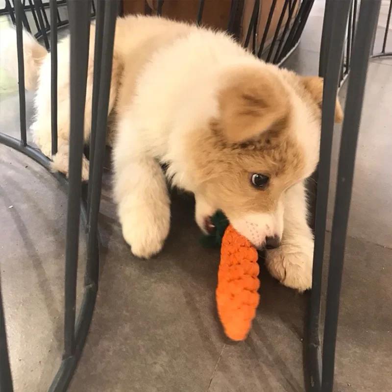 «Игривая» прочная жевательная игрушка для собак в форме морковки с веревочным узлом — интерактивная игра, стимулирующая скрежетание зубами для средних пород