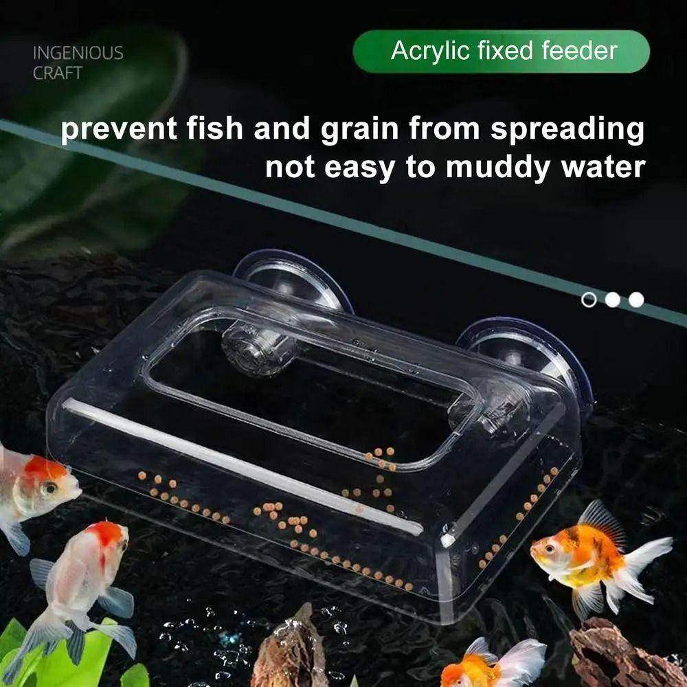 Акриловое кольцо для кормления аквариумных рыб, фиксированная плавающая кормушка-поднос для корма для мальков и креветок